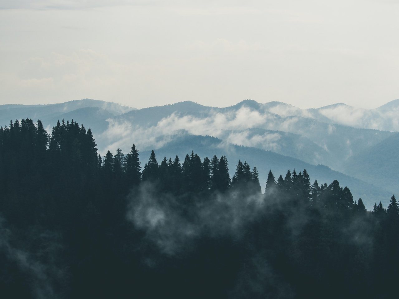 pexels-creative-vix-9754