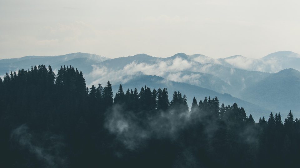 pexels-creative-vix-9754